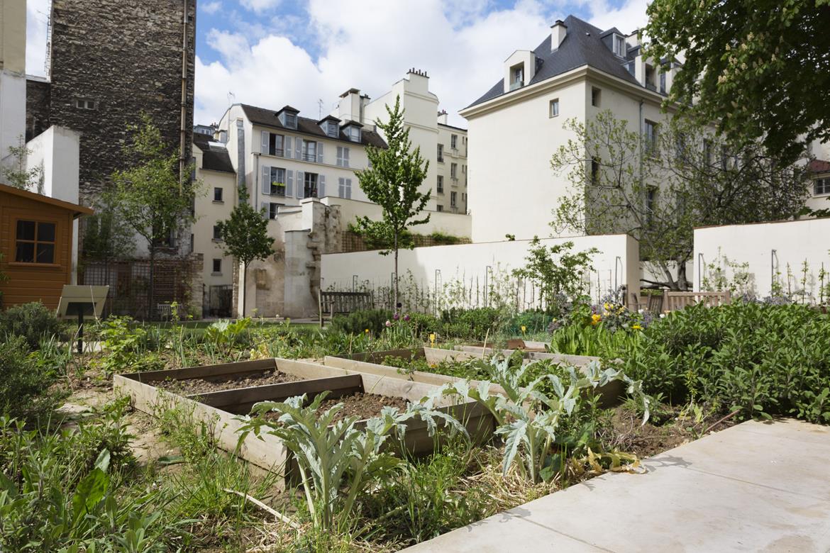 Urban Gardening